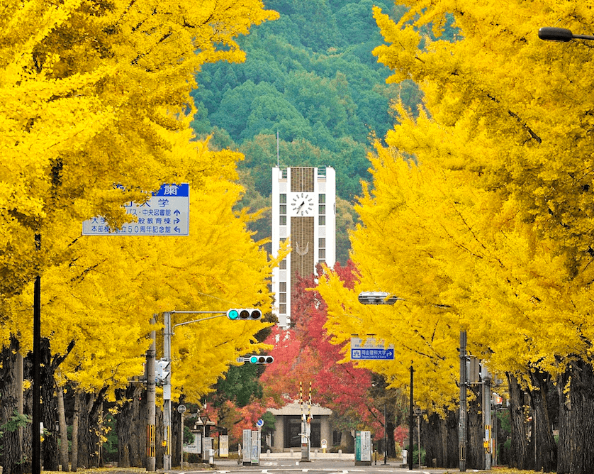 IB岡山大学