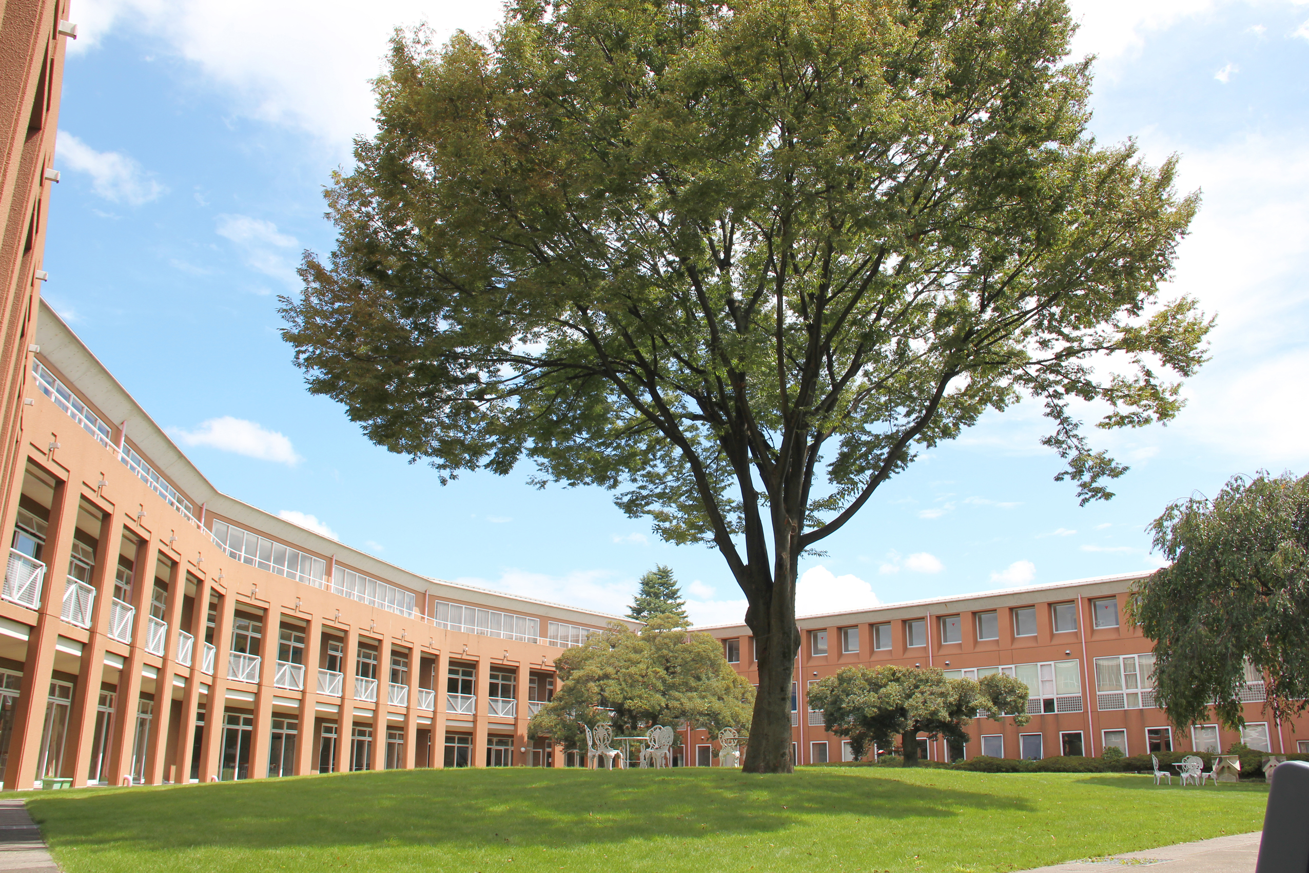 三田国際学園