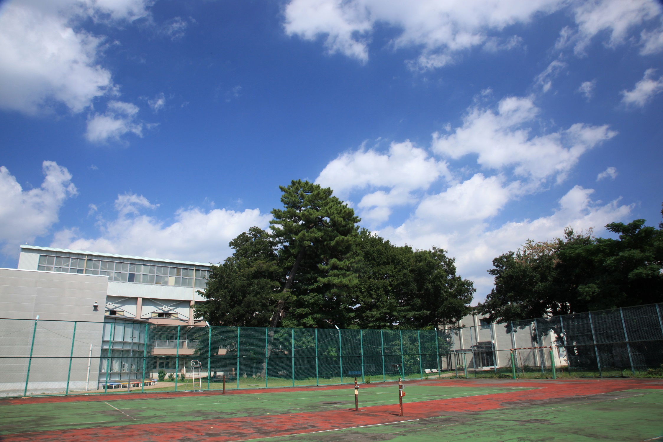 東京学芸大学附属国際中等教育学校