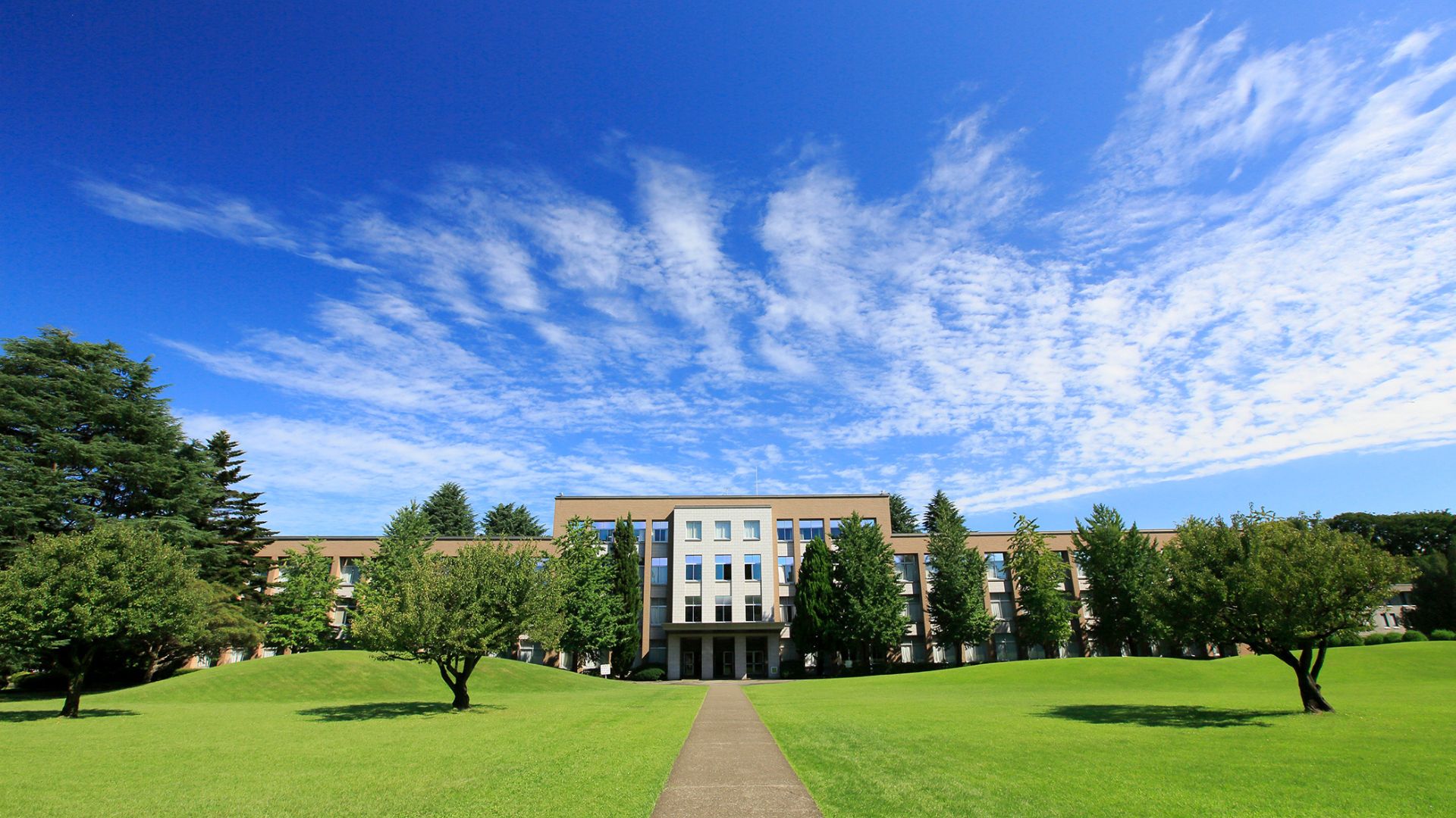 国際基督教大学（ICU）