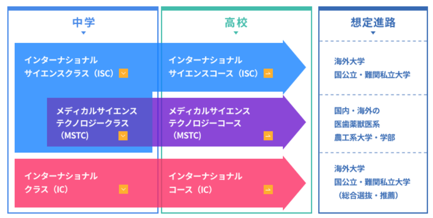 三田国際